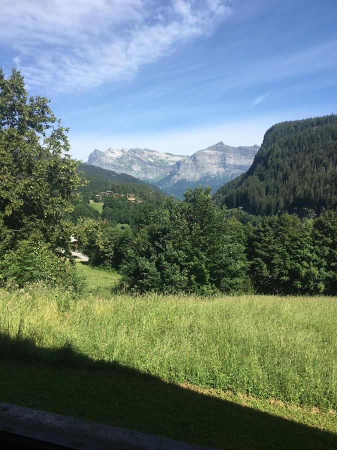 Vallee De Chamonix Au Pied Des Pistes Les Houches Eksteriør billede