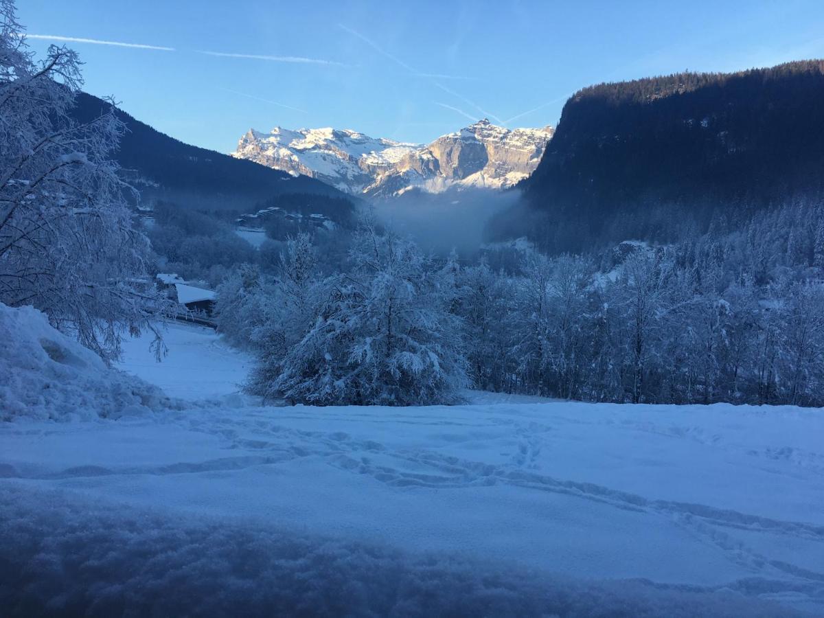 Vallee De Chamonix Au Pied Des Pistes Les Houches Eksteriør billede